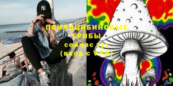 крисы Кулебаки