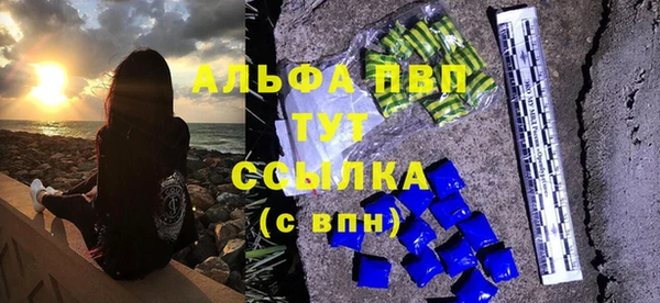 apvp Кукмор