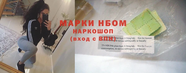 apvp Кукмор