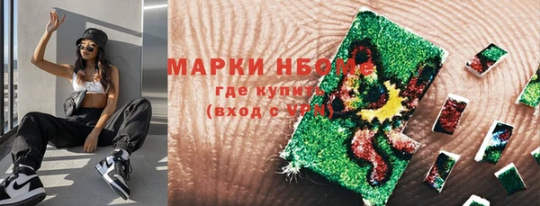 apvp Кукмор