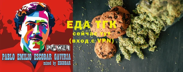 крисы Кулебаки