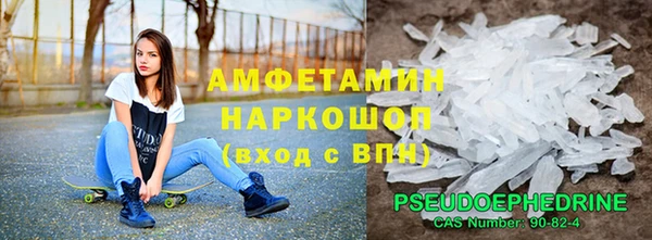 крисы Кулебаки