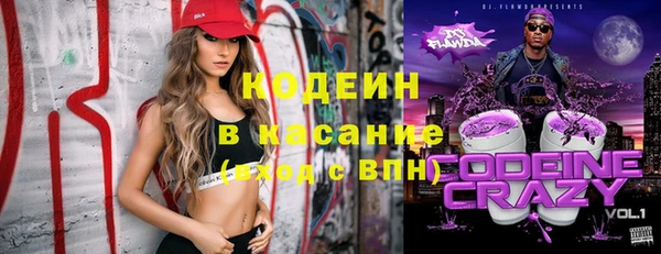 крисы Кулебаки