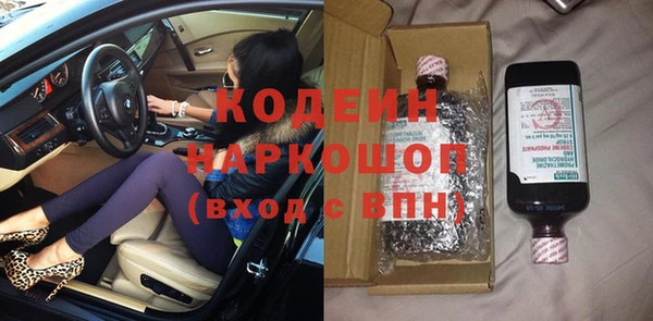крисы Кулебаки