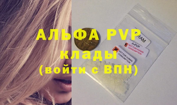крисы Кулебаки