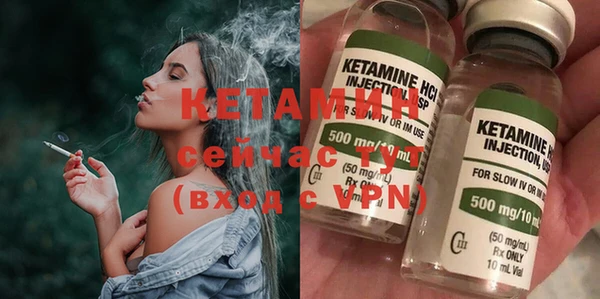 крисы Кулебаки