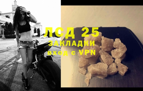 крисы Кулебаки