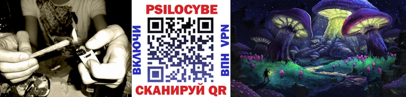 Галлюциногенные грибы Psilocybe Грайворон